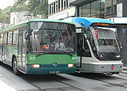 Bus and tram, together